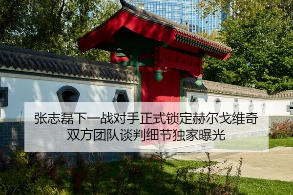 张志磊下一战对手正式锁定赫尔戈维奇 双方团队谈判细节独家曝光