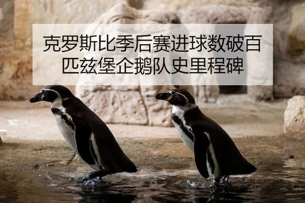 克罗斯比季后赛进球数破百 匹兹堡企鹅队史里程碑