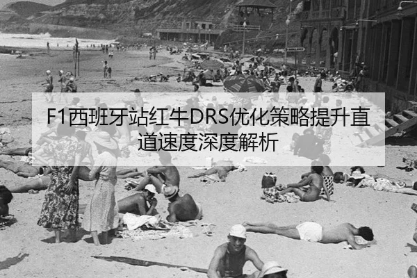 xi-ban-ya-zhan-hong-niu-you-hua-ce-lve-ti-sheng-zhi-dao-su-du-shen-du-jie-xi-2-397.jpg